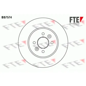 Jeu de 2 disques de frein arrière FTE OEM 7701207227