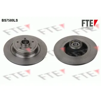 Jeu de 2 disques de frein arrière FTE OEM 8200736267