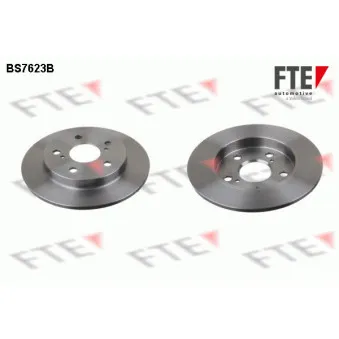 Jeu de 2 disques de frein arrière FTE OEM 4243112260