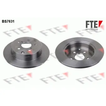 Jeu de 2 disques de frein arrière FTE OEM 424310F020