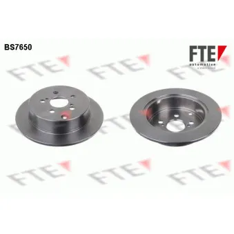 Jeu de 2 disques de frein arrière FTE OEM 4243147030