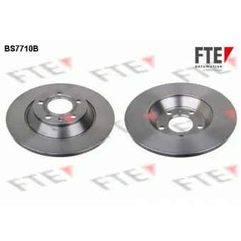 Jeu de 2 disques de frein arrière FTE OEM 4F0615601G