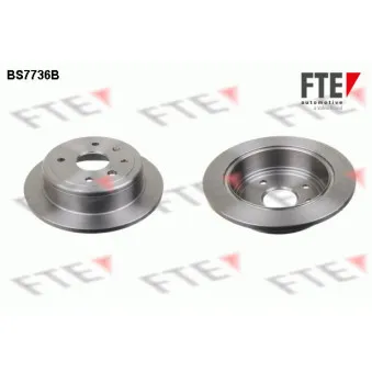 Jeu de 2 disques de frein arrière FTE OEM 96549630