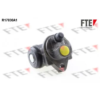 FTE R17030A1 - Cylindre de roue