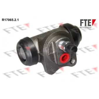 FTE R17065.2.1 - Cylindre de roue