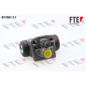 Cylindre de roue FTE R17087.3.1
