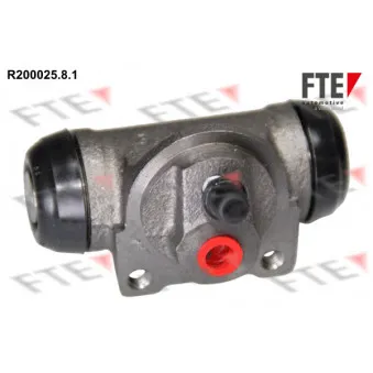 FTE R200025.8.1 - Cylindre de roue