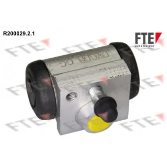 FTE R200029.2.1 - Cylindre de roue