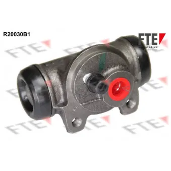 FTE R20030B1 - Cylindre de roue