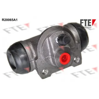 FTE R20065A1 - Cylindre de roue