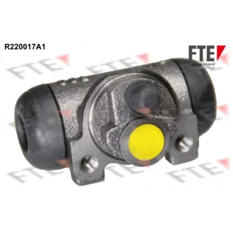 FTE R220017A1 - Cylindre de roue