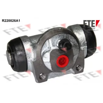 Cylindre de roue FTE R220026A1