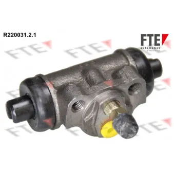 FTE R220031.2.1 - Cylindre de roue
