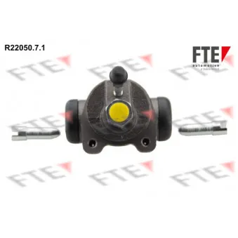 FTE R22050.7.1 - Cylindre de roue