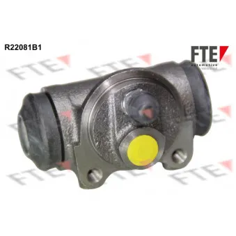 FTE R22081B1 - Cylindre de roue
