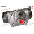 FTE R23047.2.1 - Cylindre de roue