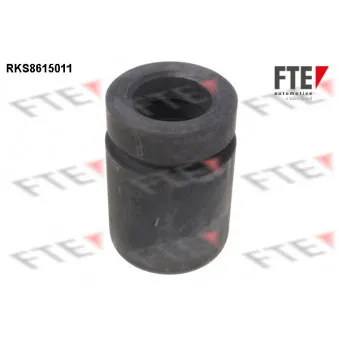 FTE RKS8615011 - Piston, étrier de frein