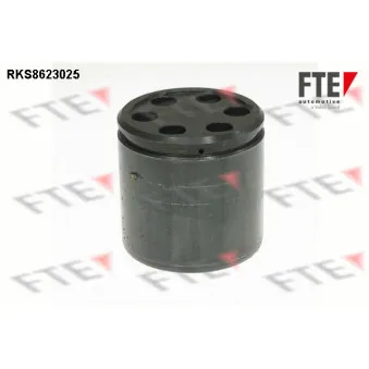 FTE RKS8623025 - Piston, étrier de frein