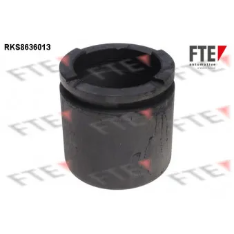 FTE RKS8636013 - Piston, étrier de frein