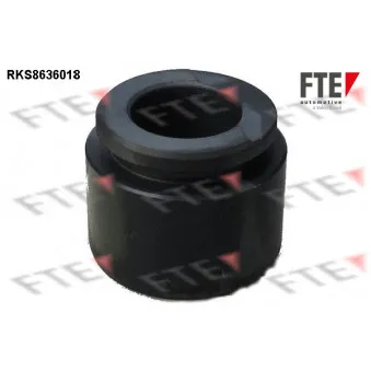 FTE RKS8636018 - Piston, étrier de frein