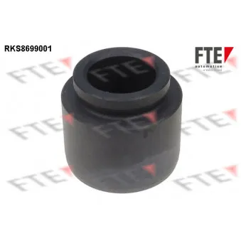 FTE RKS8699001 - Piston, étrier de frein