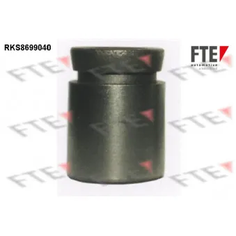 FTE RKS8699040 - Piston, étrier de frein