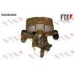 FTE RX439838A0 - Étrier de frein