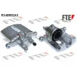 FTE RX489892A0 - Étrier de frein