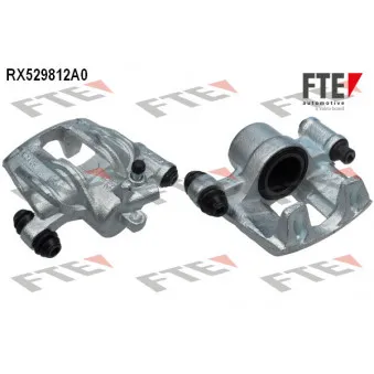 FTE RX529812A0 - Étrier de frein