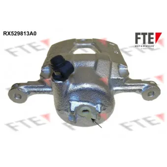 FTE RX529813A0 - Étrier de frein
