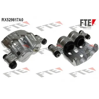 FTE RX529817A0 - Étrier de frein