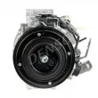 DENSO DCP51016 - Compresseur, climatisation