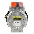 DENSO DCP99527 - Compresseur, climatisation