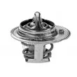 DENSO DTM91465 - Thermostat d'eau