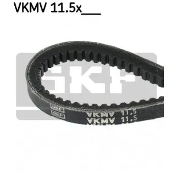 SKF VKMV 11.5x790 - Courroie trapézoïdale