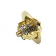 WAHLER 3032.80 - Thermostat d'eau