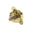 WAHLER 3032.88 - Thermostat d'eau