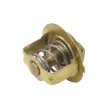 WAHLER 3033.78D - Thermostat d'eau