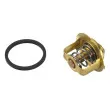WAHLER 3033.84D - Thermostat d'eau