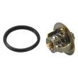 WAHLER 3100.88D - Thermostat d'eau