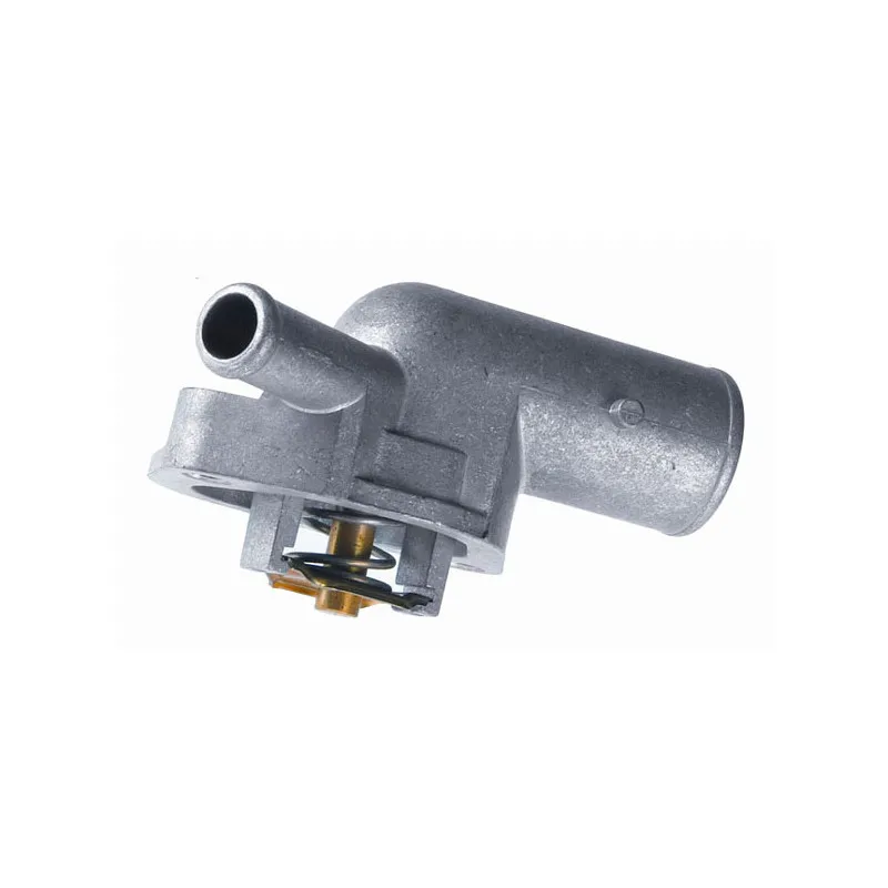 Thermostat d'eau WAHLER 3109.87D - Visuel 1