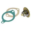WAHLER 3119.82D3 - Thermostat d'eau