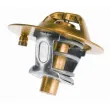 WAHLER 3119.88D3 - Thermostat d'eau