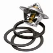 WAHLER 3136.82D50 - Thermostat d'eau