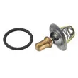 WAHLER 3469.91D - Thermostat d'eau