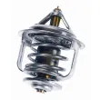 WAHLER 3478.82D - Thermostat d'eau