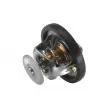 WAHLER 3497.88D - Thermostat d'eau