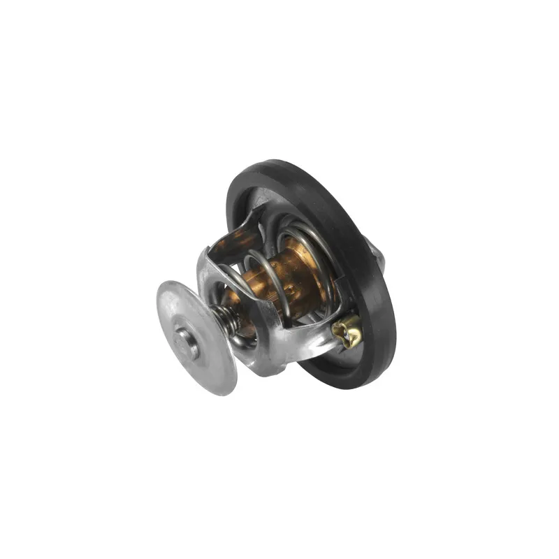 Thermostat d'eau WAHLER 3497.88D - Visuel 1