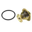 WAHLER 4006.82D - Thermostat d'eau