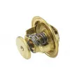 WAHLER 4022.74 - Thermostat d'eau